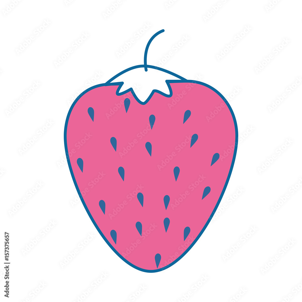 Fototapeta premium strawberry fruit food vector icon illustration graphic design