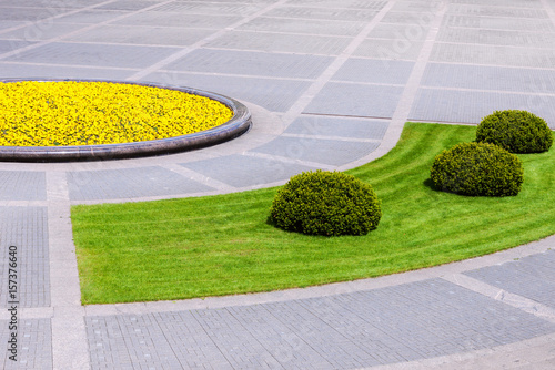 Urban square detail with landscaped plants