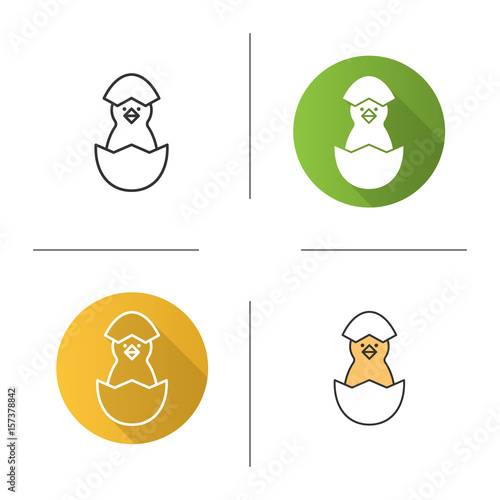 Newborn chicken icon