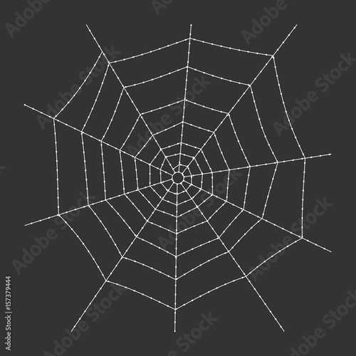 Cobweb on dark background