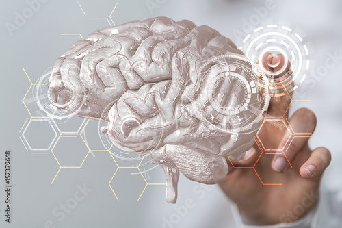 brain