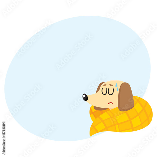 Sick baby badger dog having flu, fever, sleeping under blanket, cartoon vector illustration with space for text. Sick little dog having flue, cold, fever, lying under blanket with closed eyes