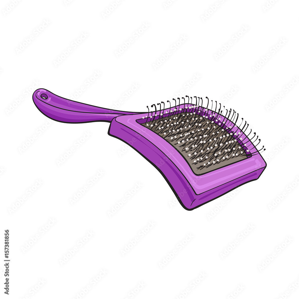 Pet, cat, dog hair brush, grooming accessory, sketch vector illustration  isolated on white background. Hand drawn colorful illustration of brush,  grooming tool for pet, dog, cat care Stock Vector | Adobe Stock