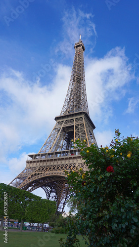 Photo of Eiffel Tower as seen from Champ de Mars  Paris  France