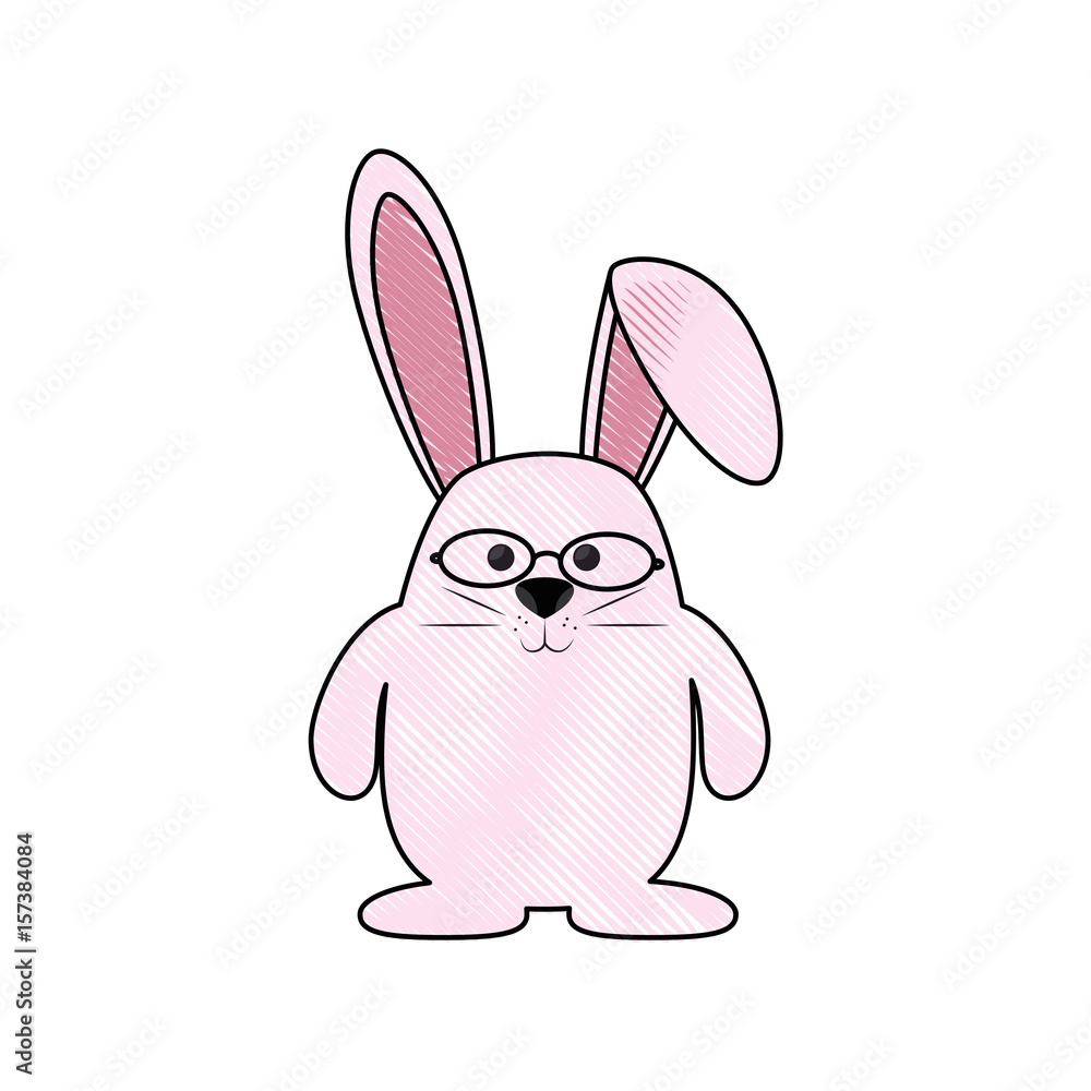 Fototapeta premium bunny animal nature vector icon illustration graphic design
