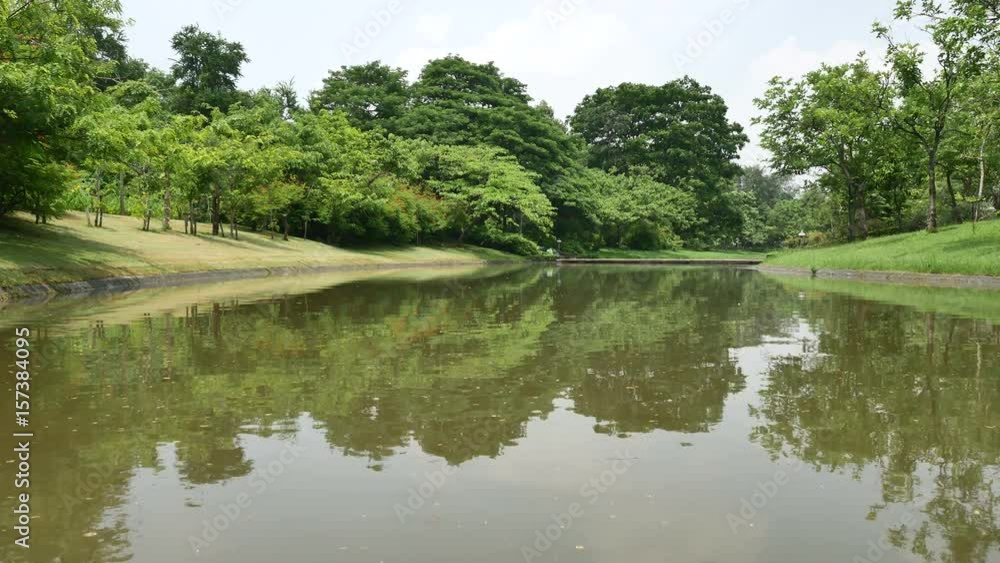 Trees and ponds in the park Bangkok, Thailand Trees and ponds in the park Bangkok, Thailand