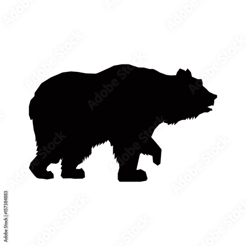 bear grizzly animal beast predator image vector illustration