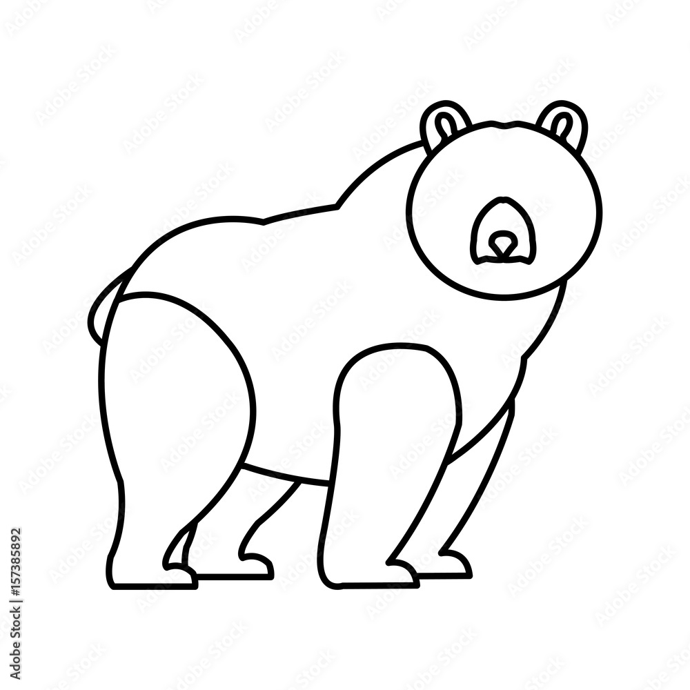 Fototapeta bear grizzly animal beast predator image vector illustration