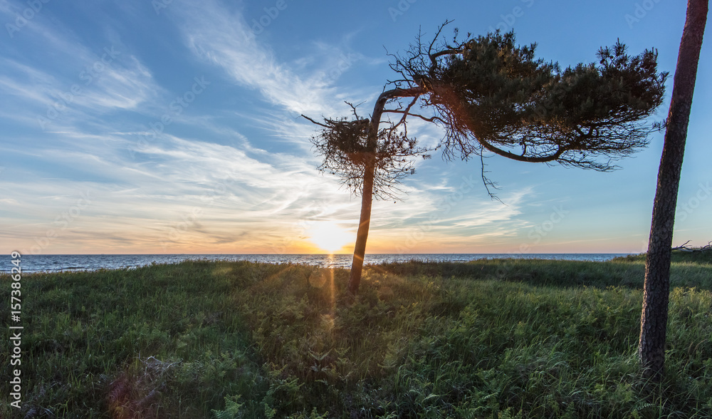 Obraz premium Westküste darß