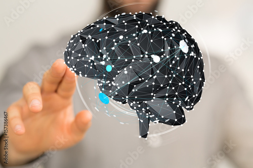 brain