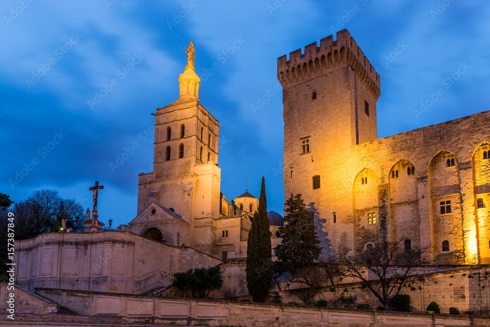 Fototapeta premium Cathédrale Notre-Dame des Doms et Palais des Papes d'Avignon, Vaucluse, Provence, France