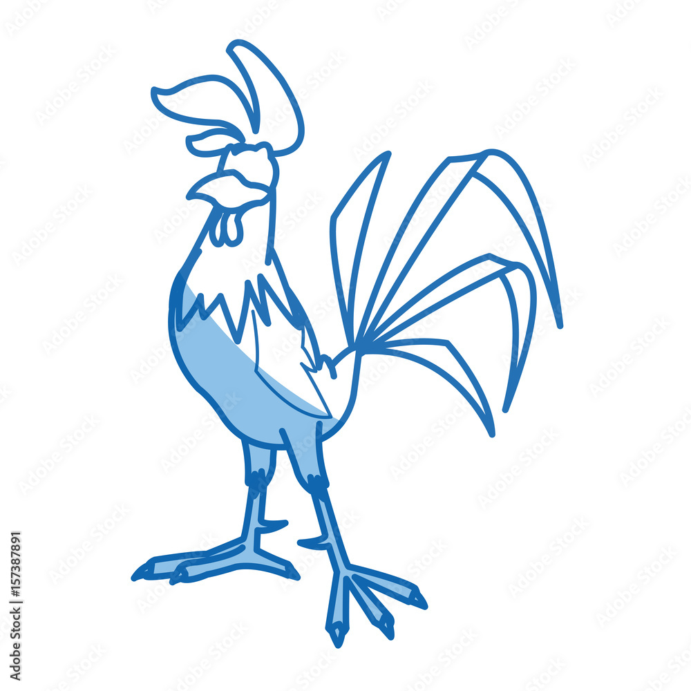 rooster bird farm domestic male image vector illustration Stock Vector