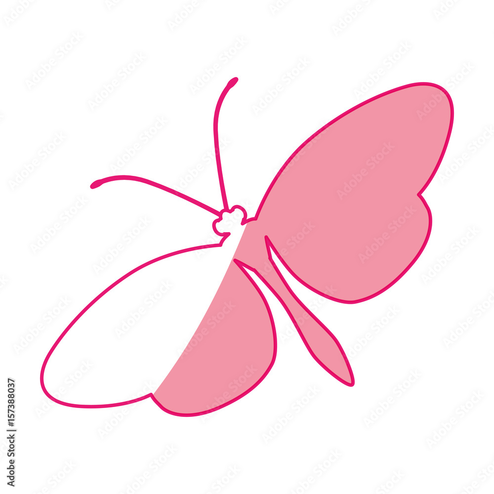 Beautiful butterfly silhouette icon vector illustration graphic design Beautiful butterfly silhouette icon vector illustration graphic design