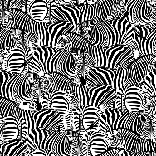 Zebra seamless pattern. Wild animal texture. Striped black and white. design trendy fabric texture, illustration.