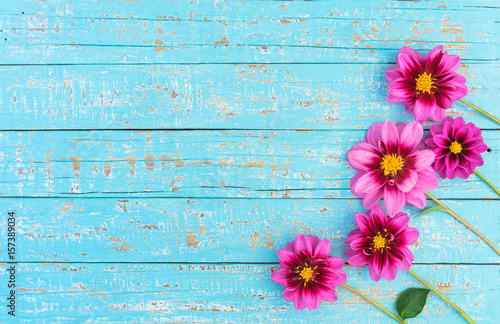 Fototapeta Naklejka Na Ścianę i Meble -  Rosa Sommer Blumen Dekoration auf Holz Hintergrund Türkis mit Textfreiraum