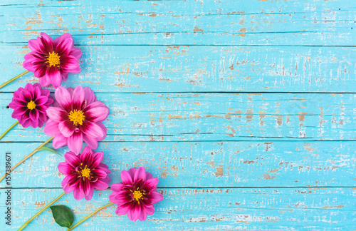Fototapeta Naklejka Na Ścianę i Meble -  Sommer Blumen Rosa Blüten auf Holz Hintergrund Türkis