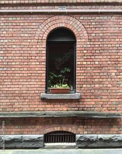 Arch top Window photo