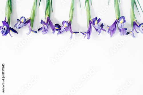 Fototapeta Naklejka Na Ścianę i Meble -  Beautiful purple iris flowers on white background. Flat lay, top view.
