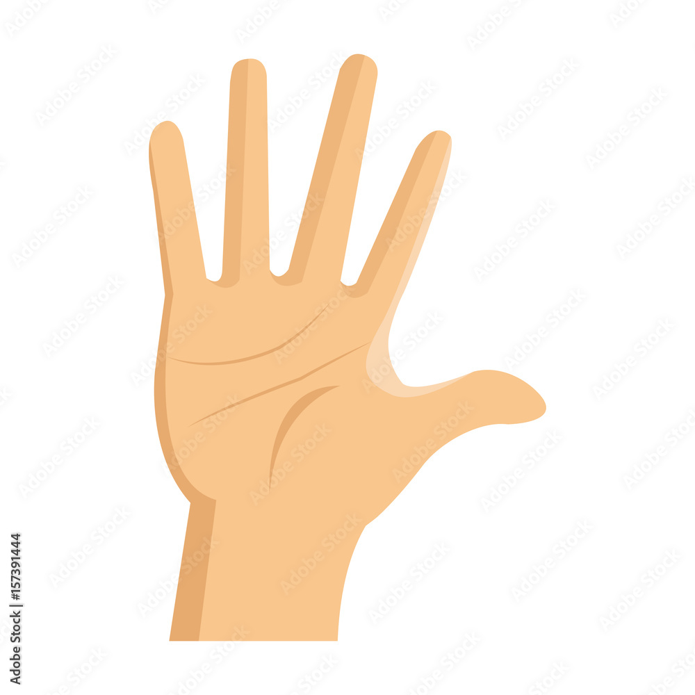 male palm hand gesture adult image vector illustration male palm hand gesture adult image vector illustration