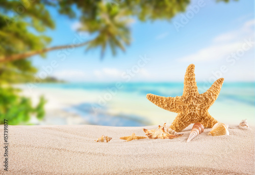 Tropical beach with sea star on sand  summer holiday background.