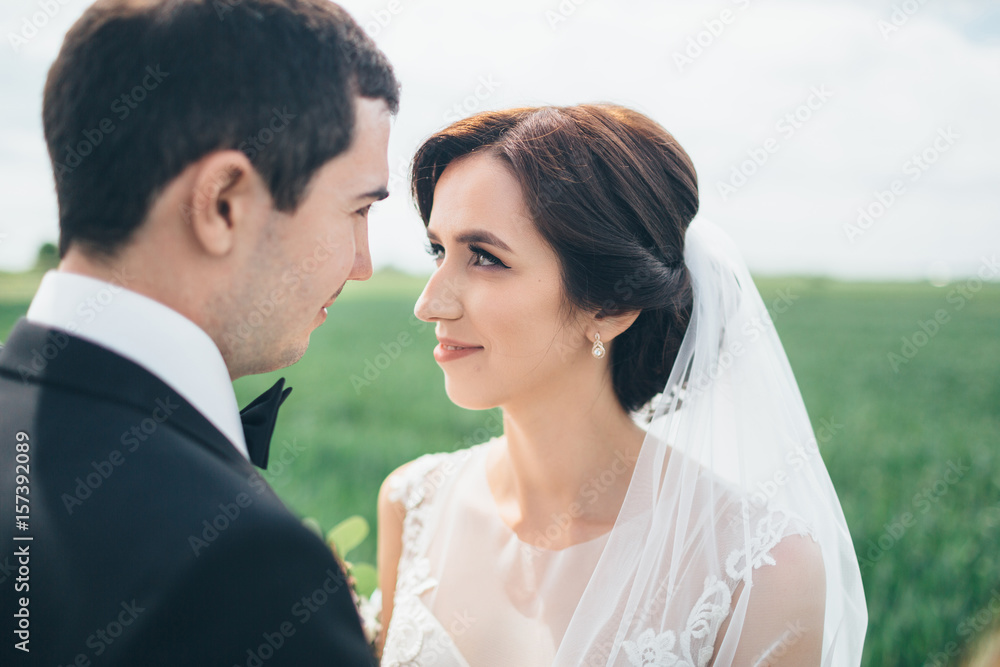 The beautiful couple in love embracing and standing on the field The beautiful couple in love embracing and standing on the field
