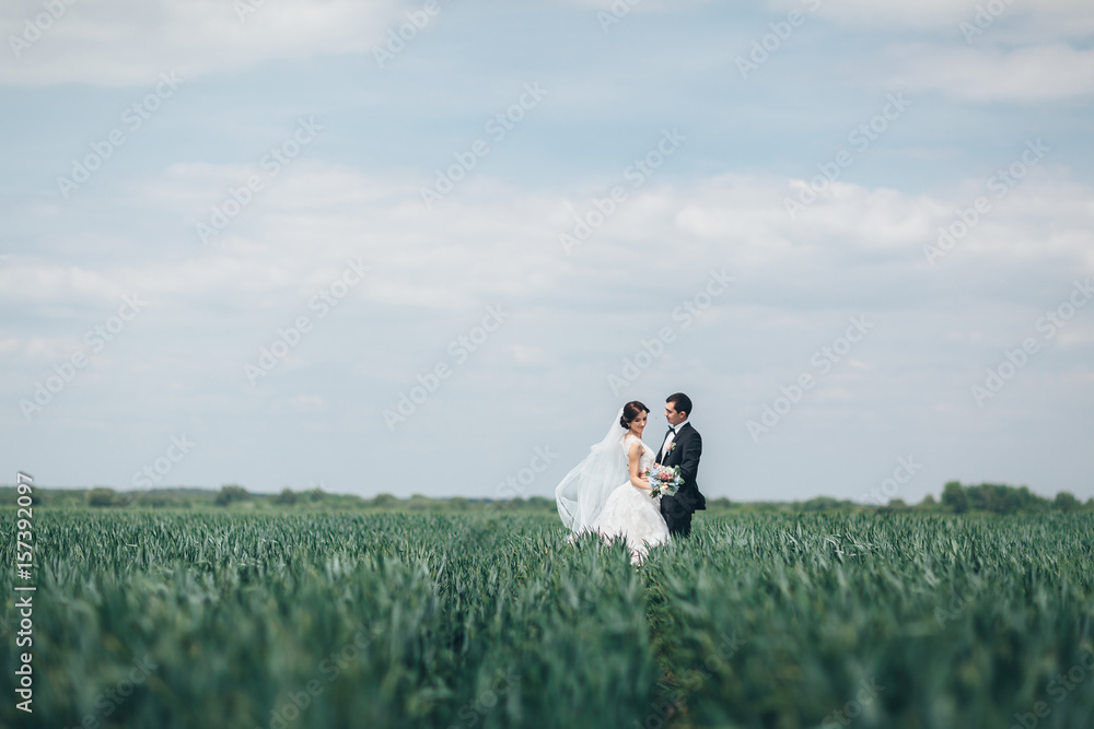 The beautiful couple in love embracing and standing on the field The beautiful couple in love embracing and standing on the field