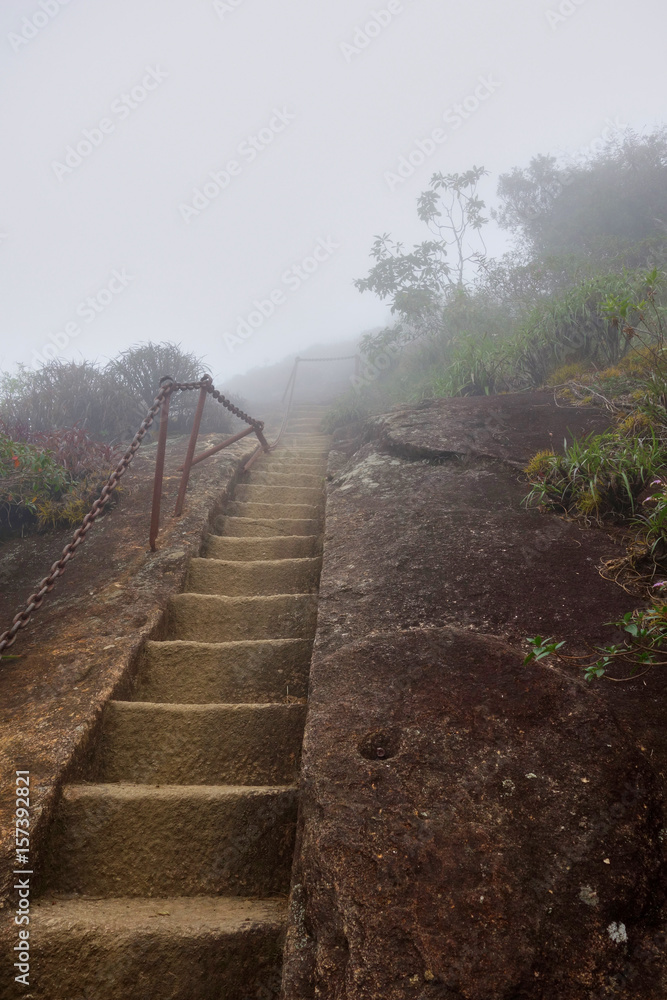 Steps leading into fog in Tijuca National Park, Rio de Janeiro
