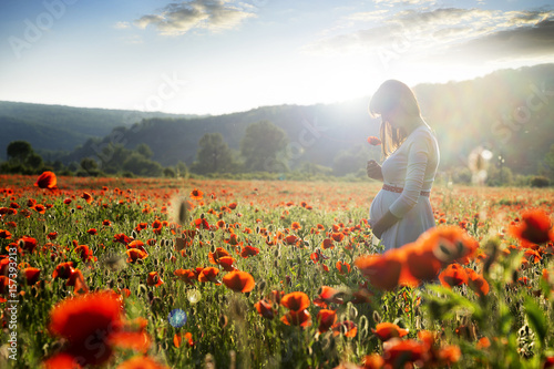 Young pregnant woman walking in the poppy field