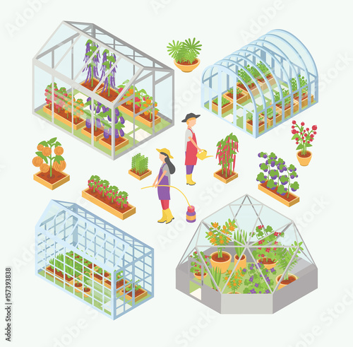 Set of 3d glass greenhouse, hotbed with seedlings. People water plants, flowers, vegetables in garden bed, flowerbed. Isometric colorful vector illustrations.