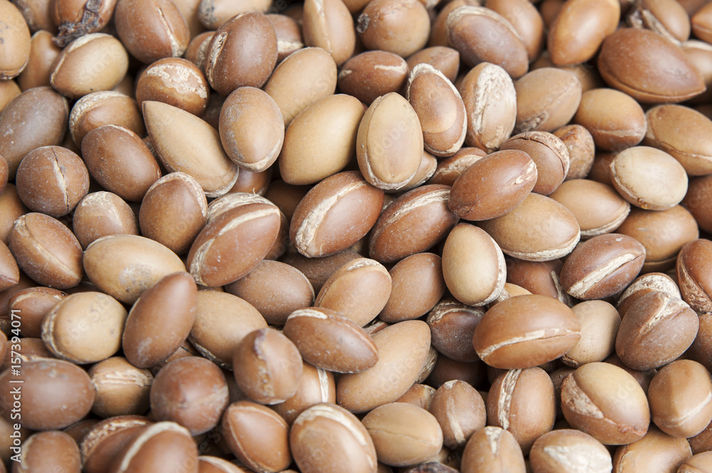 Horizontal background shot of argan seeds, the most valued crop of Argania  spinosa, or commonly known as Argan tree, for its rich in oils seeds and  valuable byproduct Stock Photo | Adobe