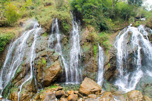 Waterfall flowing out from the trees against the rocks