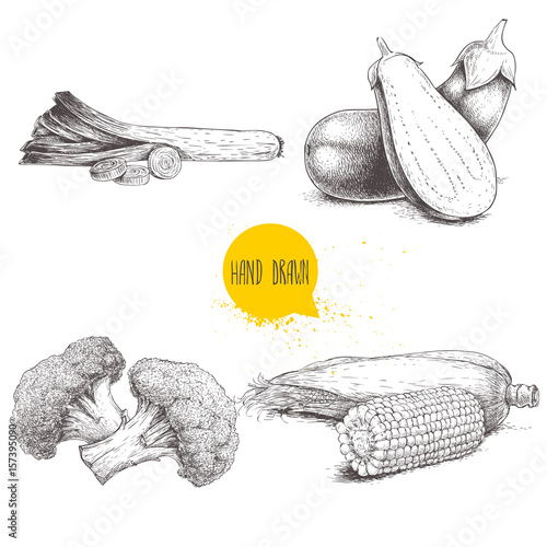 Hand drawn sketch style vegetables set. Leek with slices , eggplant with half aubergine, broccoli and sweet corn maize. Farm fresh food isolated on white  background.