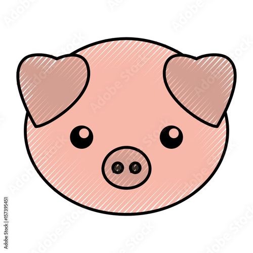 cute scribble pork face cartoon graphic design