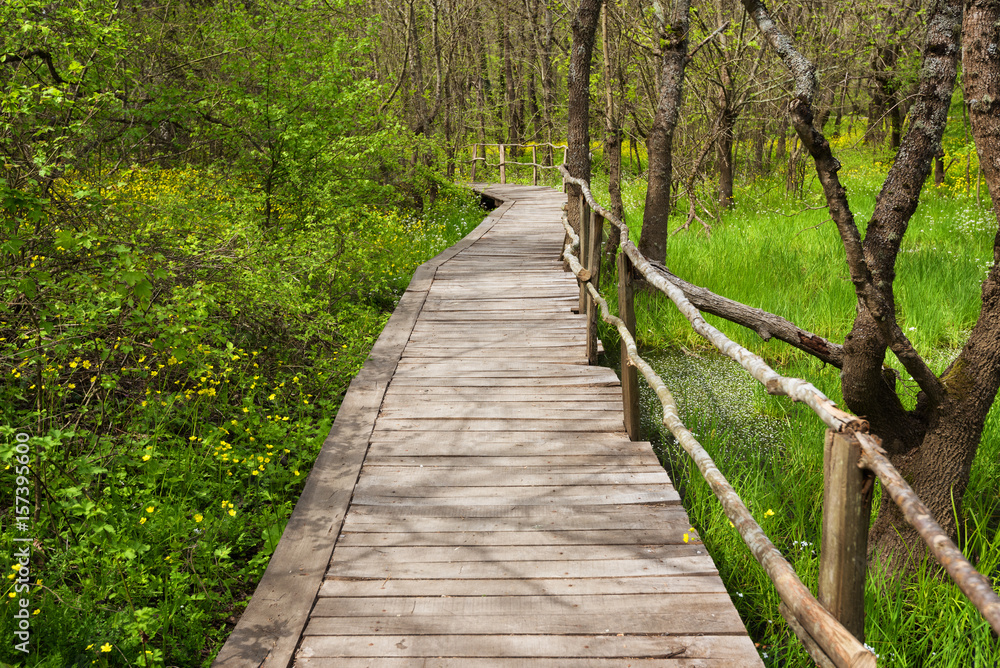 National Park Ropotamo Bulgaria. Wooden bridge leads to the Ropotamo river crossing green spring forest.