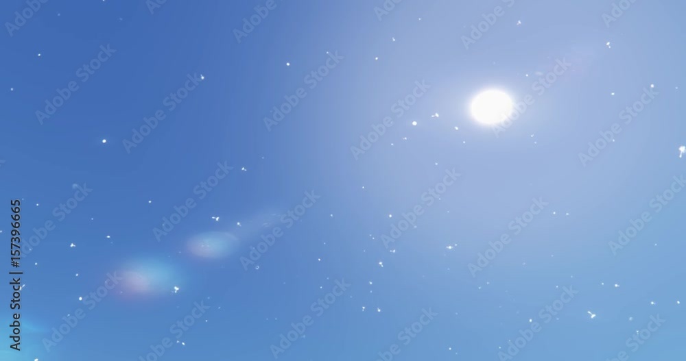 4k Dandelion seeds being blown,floating in the mid air,blue sky background.