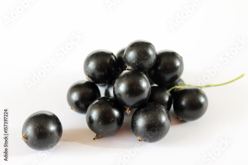 Large shiny black currant berries