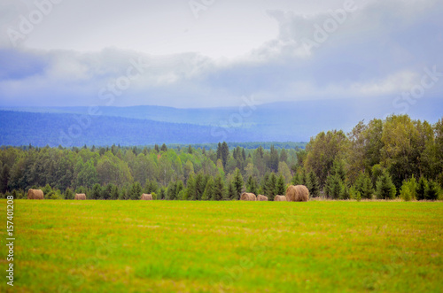 Beautiful countryside landscape. Round straw bales in harvested fields and blue sky with clouds