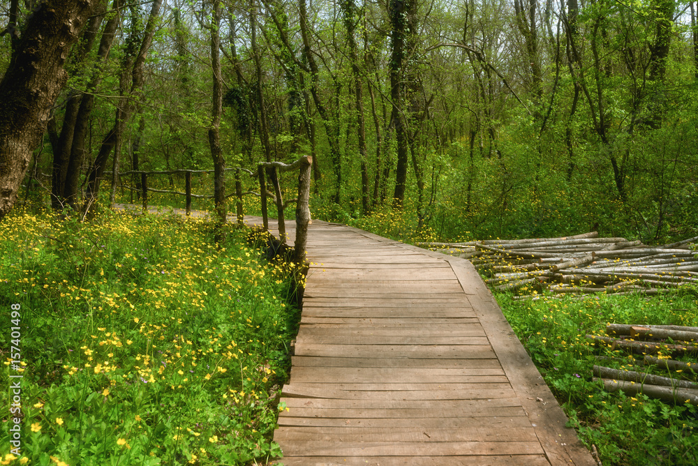 Obraz premium National Park Ropotamo Bulgaria. Wooden bridge leads to the Ropotamo river crossing green spring forest.