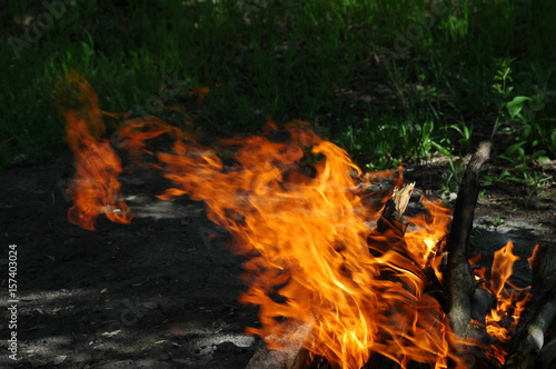 Flames power burn fire on nature