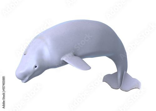 3D Rendering Beluga White Whale on White