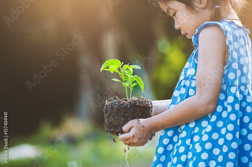 Asian little girl holding young tree for prepare plant on ground as save world concept in vintage color tone photo