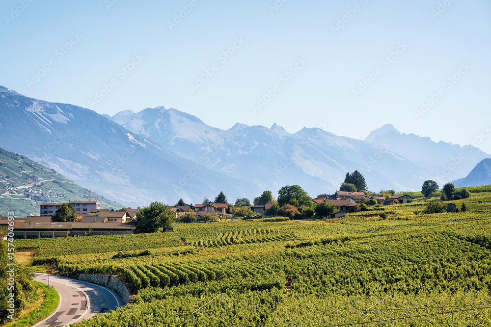 Landscape of Sion with vineyards Bernese Alps mountains Valais Switzerland