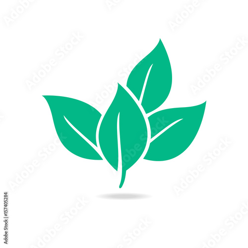 Eco icon green leaf vector illustration isolated.