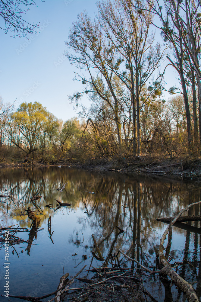 Water flow in a protected area along the river Danube Central Europe