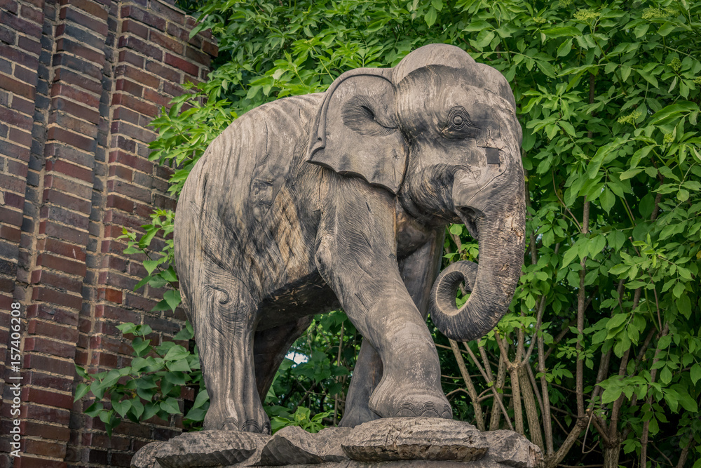 Obraz premium Elefant