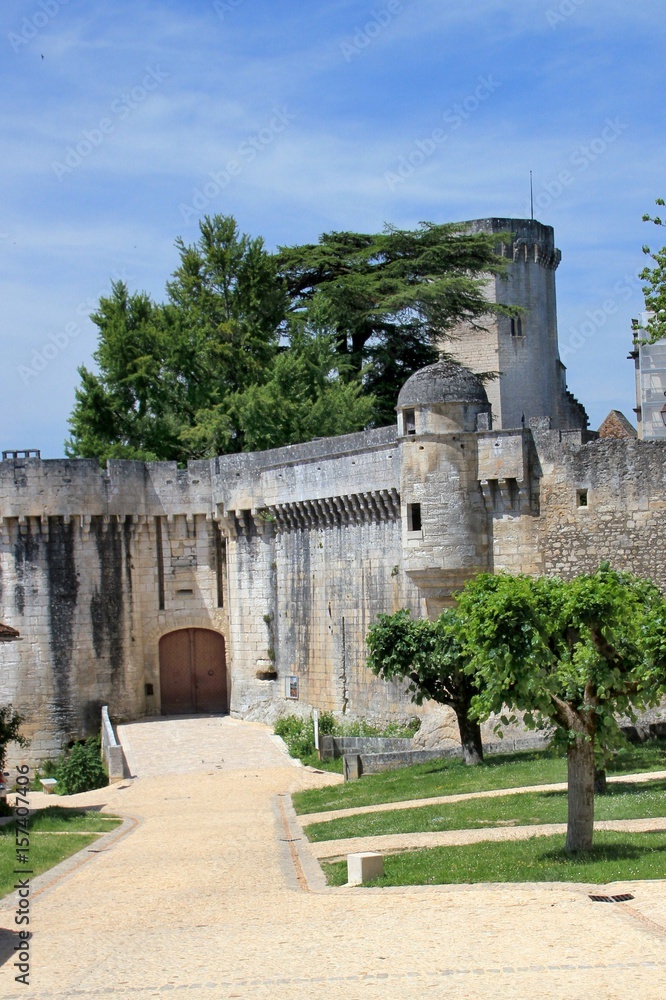 Obraz premium Château de bourdeilles (Dordogne)