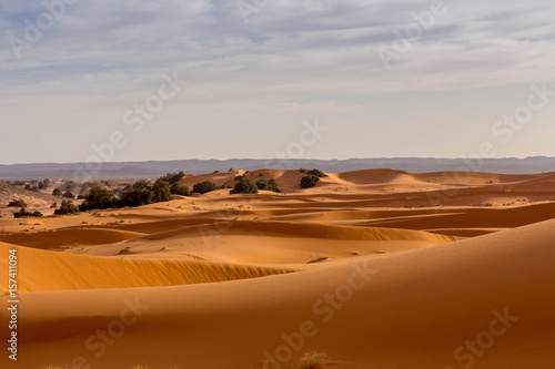 Sahara - Dünen Weitblick