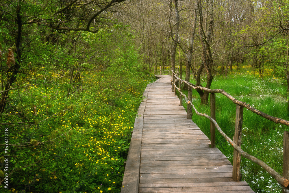 National Park Ropotamo Bulgaria. Wooden bridge leads to the Ropotamo river crossing green spring forest. National Park Ropotamo Bulgaria. Wooden bridge leads to the Ropotamo river crossing green spring forest.