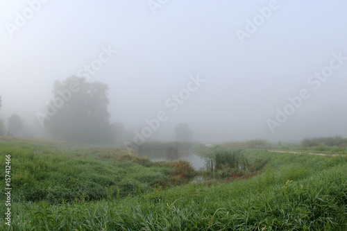 Summer morning mist.Beautiful nature background. Rural landscape with a very dense morning fog.Green grass on the foreground and a background with silhouettes of trees around the pond in the deep fog.