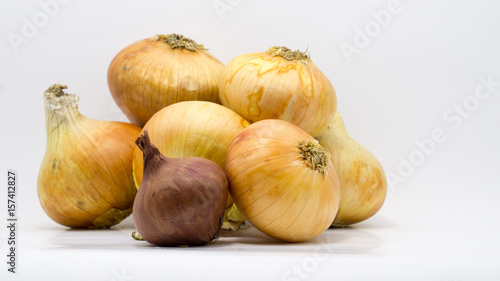 group onion bulbs isolated on white background